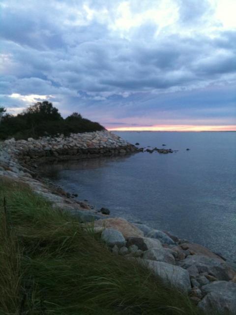 Treehouse Lodge Woods Hole Exterior foto